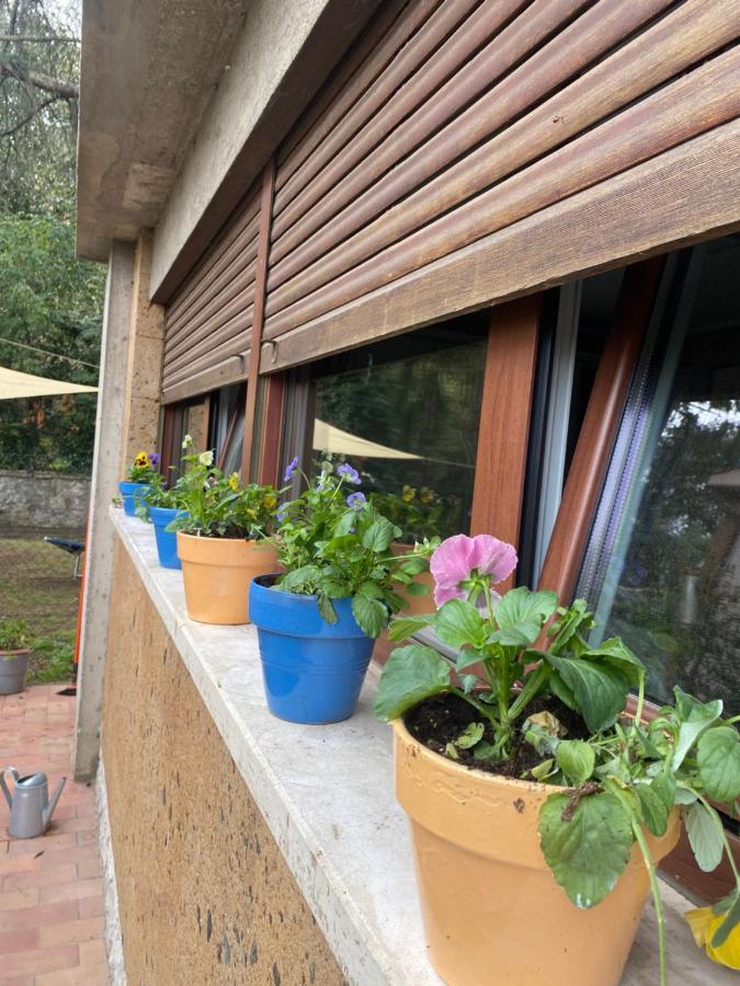 Il Giardinetto Di Elelu' Private Garage Orvieto Exterior foto